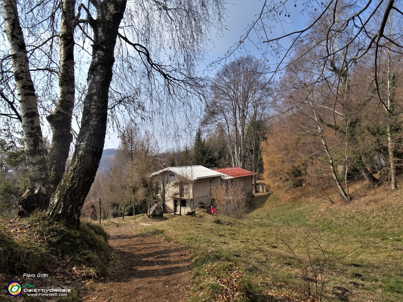69 Alla casa degli alti faggi secolari.JPG